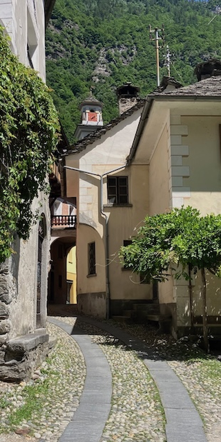 Tannen statt Weinreben