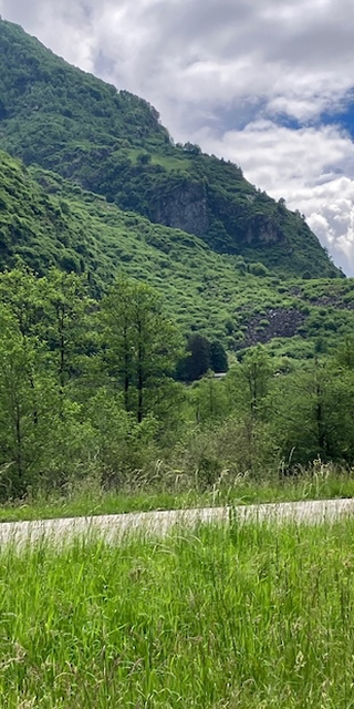 6710 Biasca 3, Der Schutt ergoss sich ins Tal und formte die "Buzza", Foto: Bernhard Graf