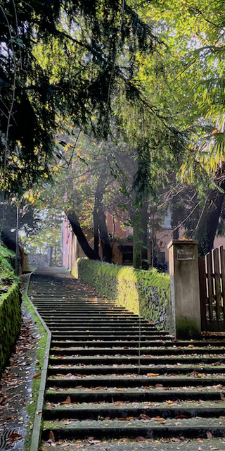 Spaziergang in einer Briefmarke 2: Castagnola, Bei der "Villa Salute", Foto: Bernhard Graf