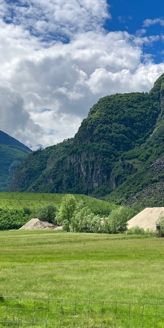 6710 Biasca 3, Auch der Mensch bringt Material in die Talenge, zum Beispiel aus dem NEAT-Tunnel (hellgrüner Riegel von links)., Foto: Bernhard Graf