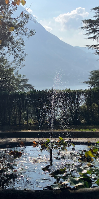 Spaziergang in einer Briefmarke 2: Castagnola, Im Garten des einstigen "Schlosshotel Castagnola", Foto: Bernhard Graf