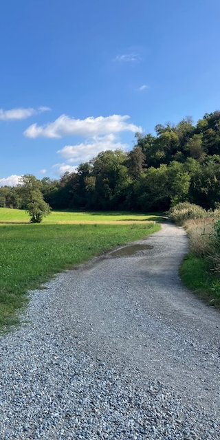 Warum ist Landschaft schön?, Am Vedeggio