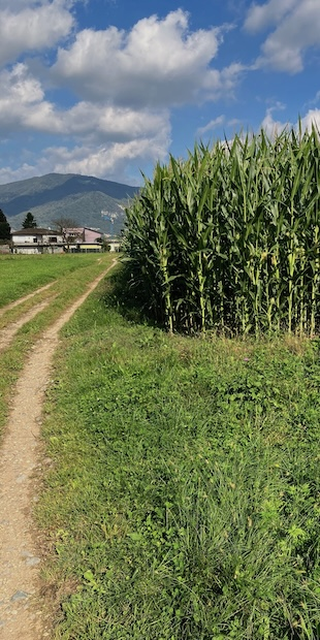 Warum ist Landschaft schön?, Genestrerio