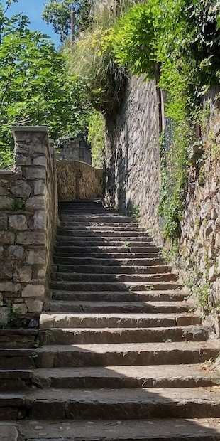 Kleine Flora von Gandria, Gandria., Foto: Bernhard Graf