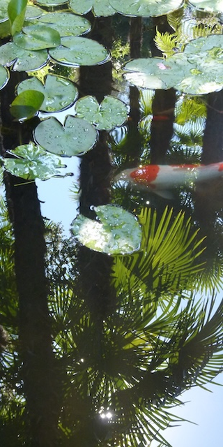 Gartenlust 3, Foto: Bernhard Graf