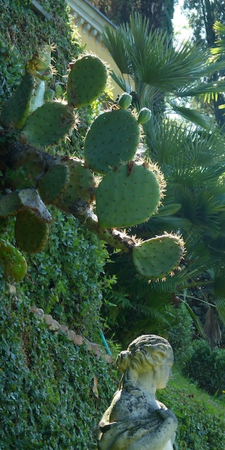 Gartenlust