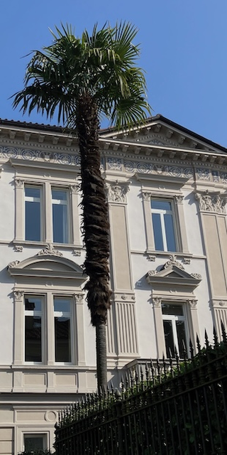 Locarno - ein Querschnitt, Reine Sch&ouml;nheit.