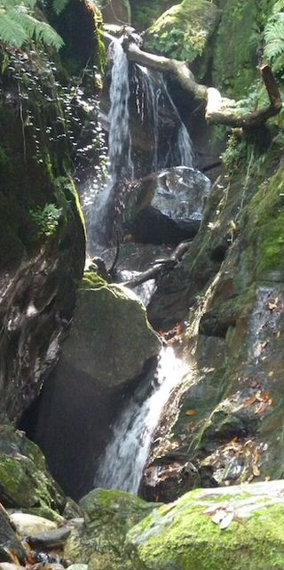 Vairano, Wasser fällt durch den Wald., Foto: Bernhard Graf